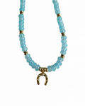 Horseshoe Necklace